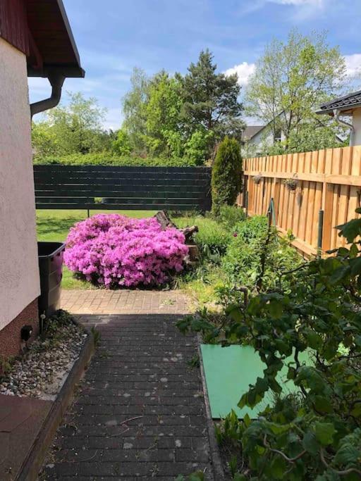 Gemuetlicher Bungalow In Cottbus - Sielow Dış mekan fotoğraf